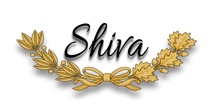 Shiva Beauty Lounge